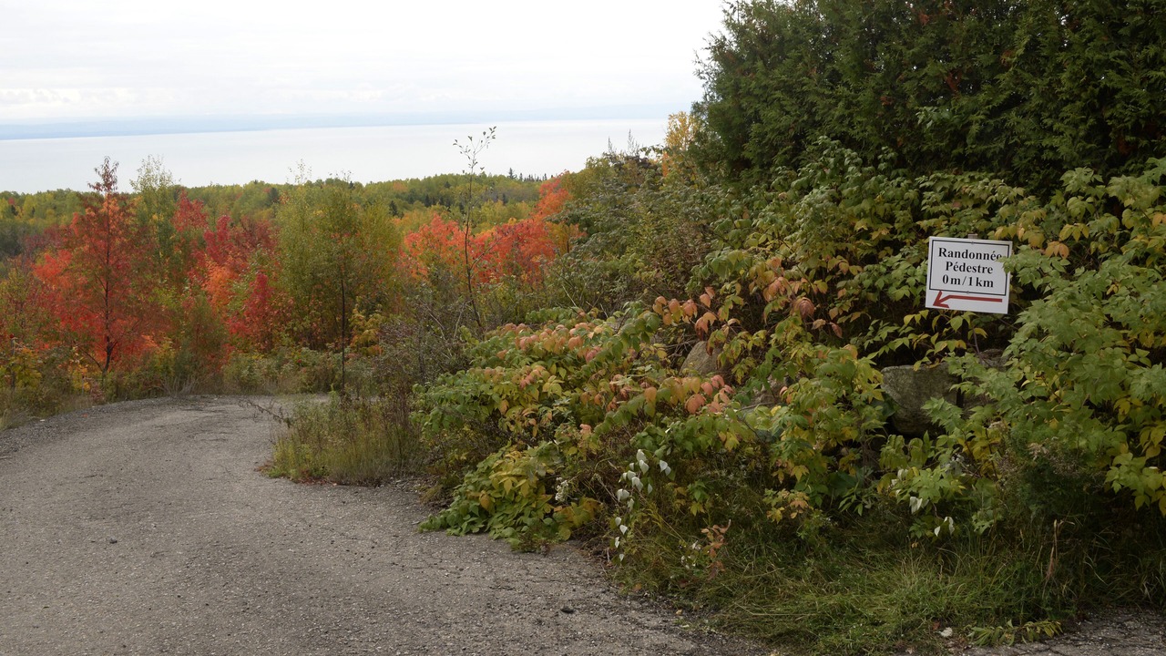 Photo of Outdoor in Pointe-au-Pic