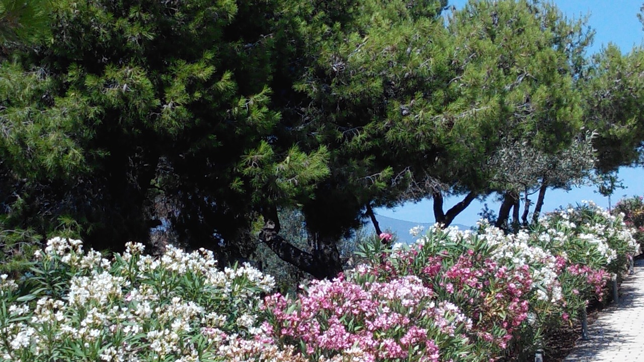 Photo of Outdoor in Kilada