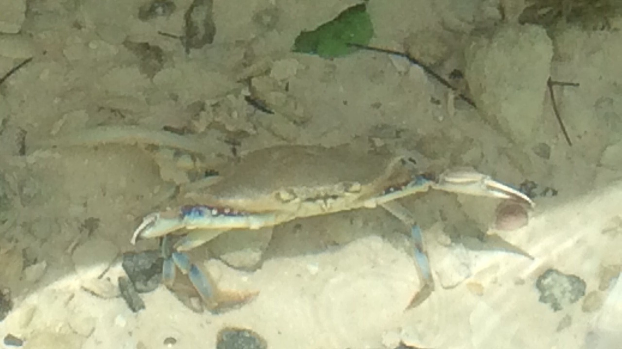 Photo of Others in Cherokee