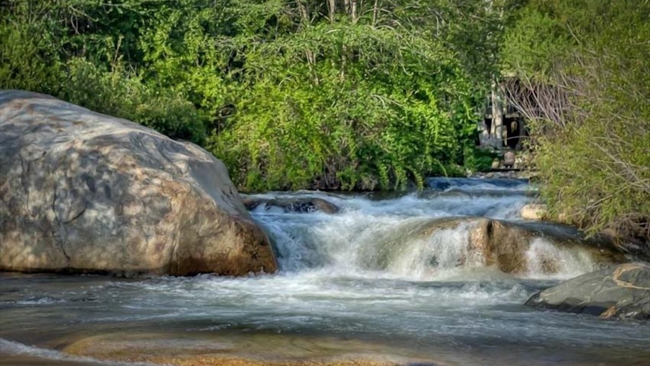 Photo of Others in Three Rivers