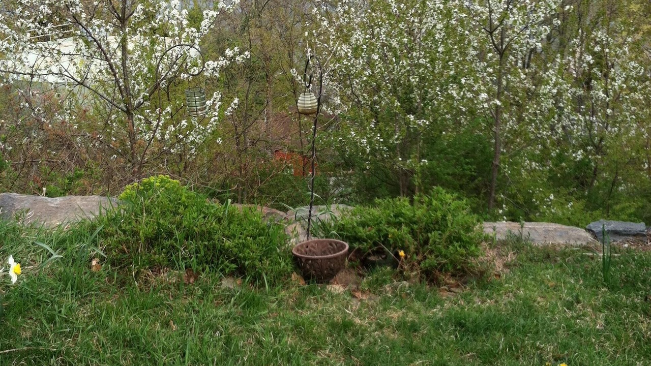 Photo of Outdoor in Greenwood Lake