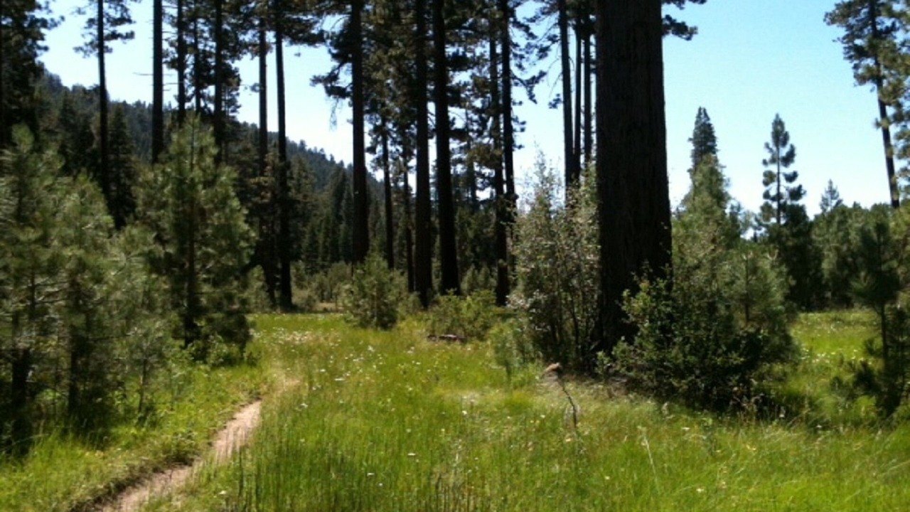 Photo of Others in South Lake Tahoe