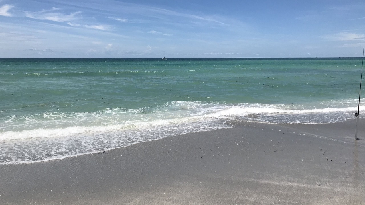 Photo of Others in Longboat Key