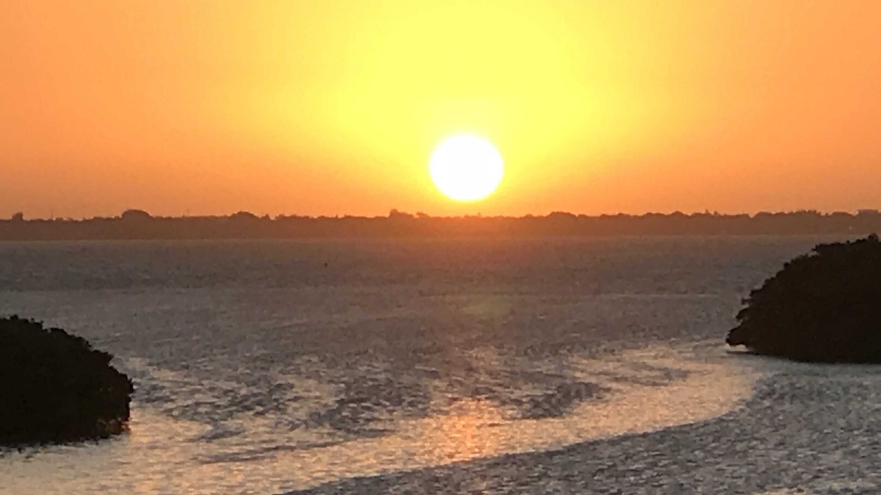 Photo of Others in Longboat Key