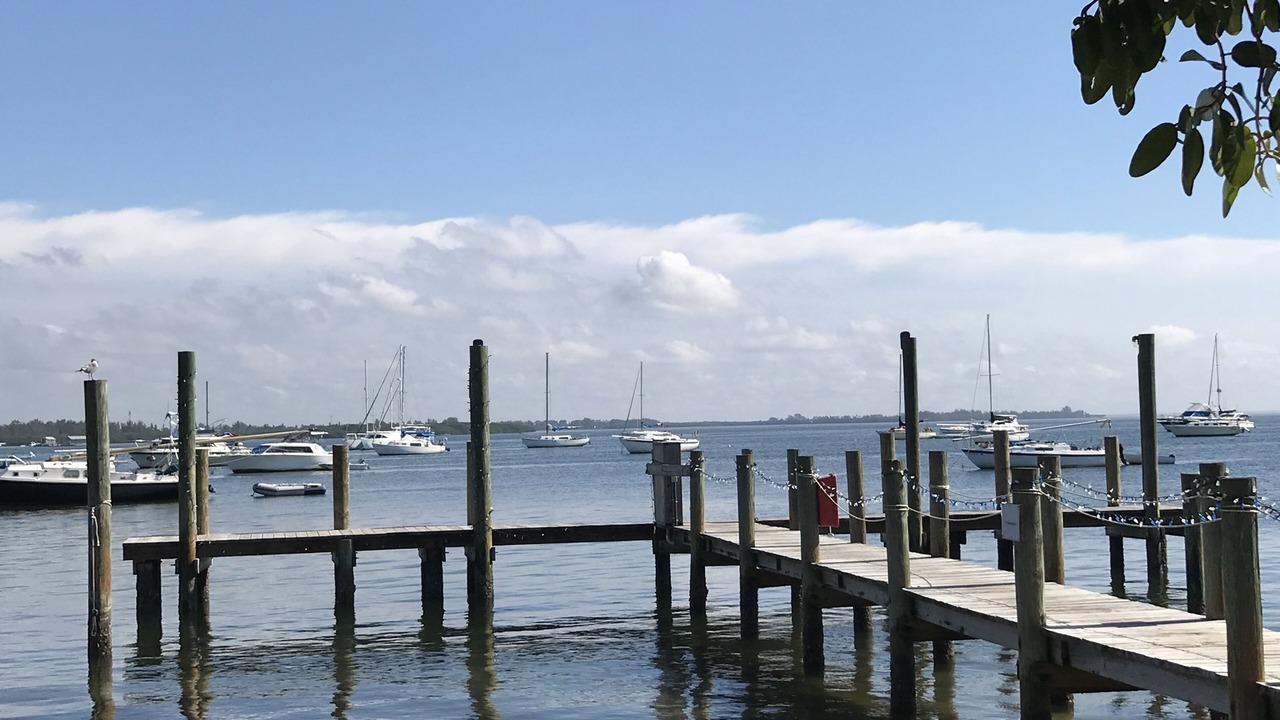 Photo of Others in Longboat Key