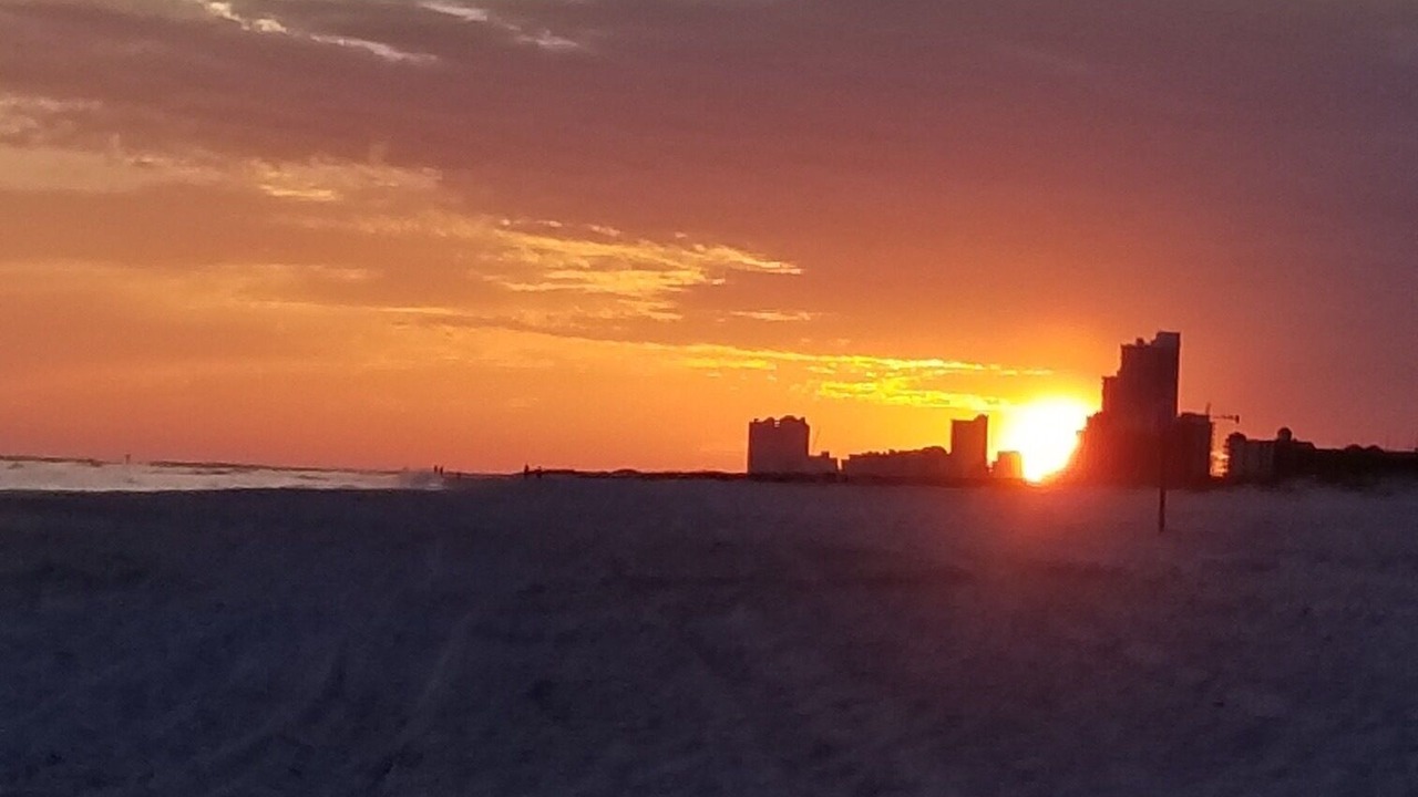 Photo of Others in Orange Beach East