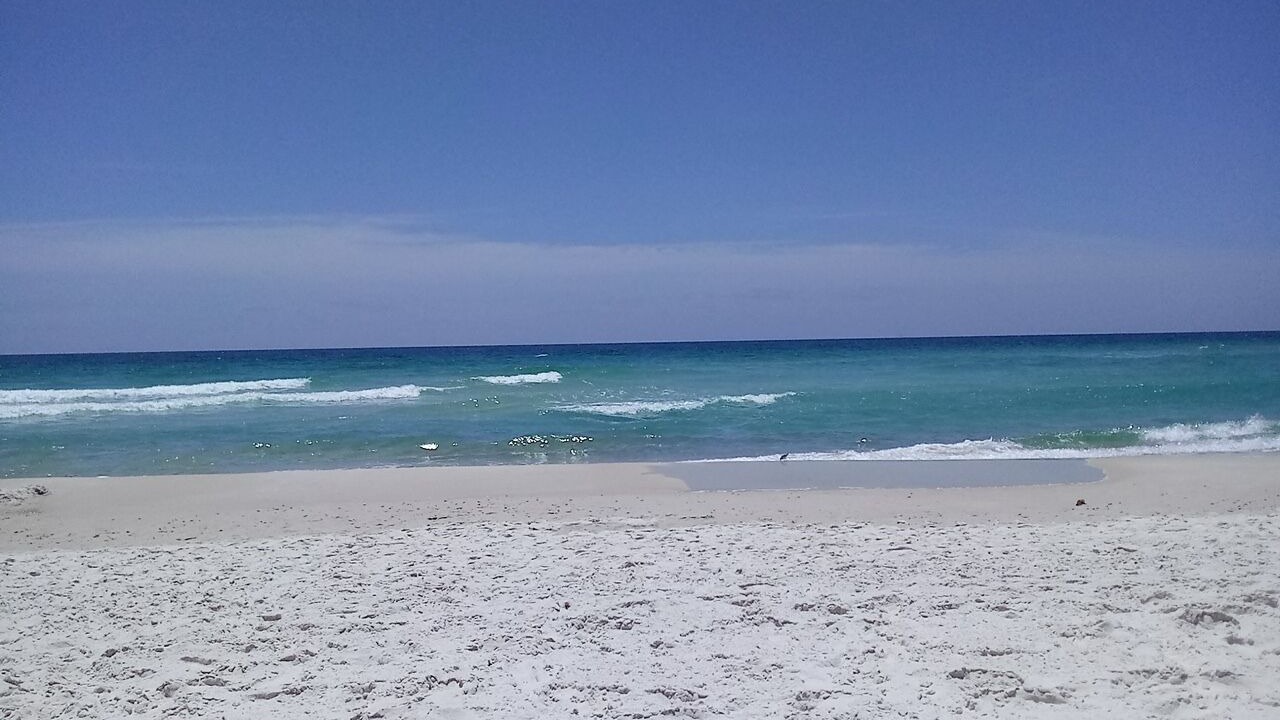 Photo of Others in Orange Beach East