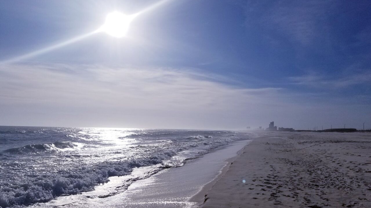 Photo of Others in Orange Beach East