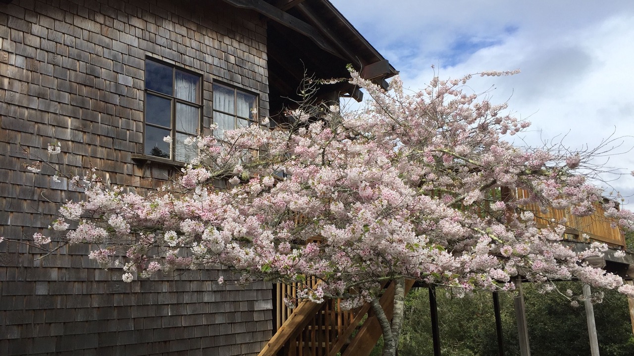 Photo of Outdoor in Seahaven