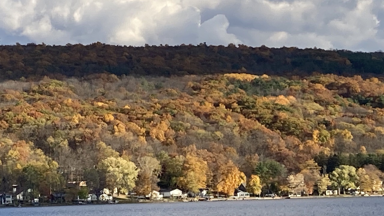 Photo of Others in Honeoye