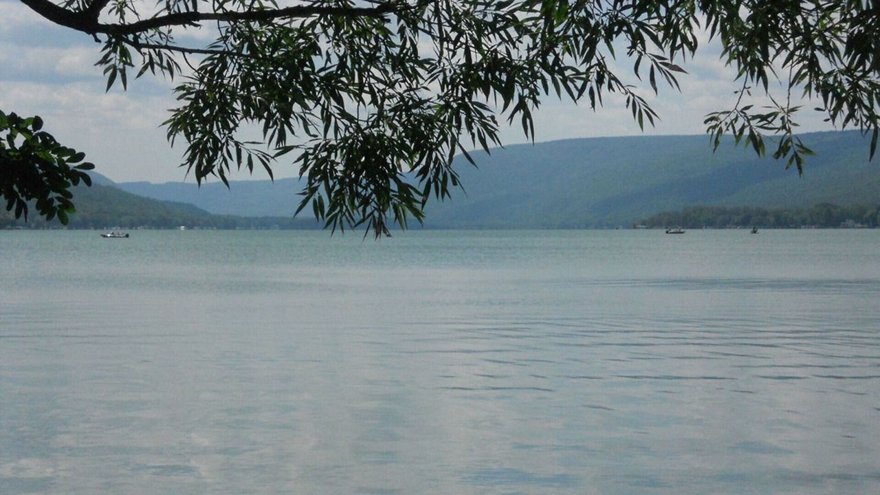 Photo of Others in Honeoye