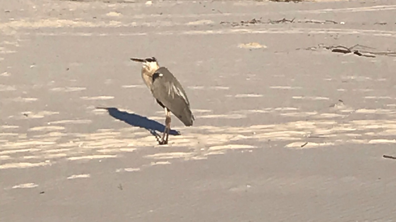 Photo of Others in Fort Morgan