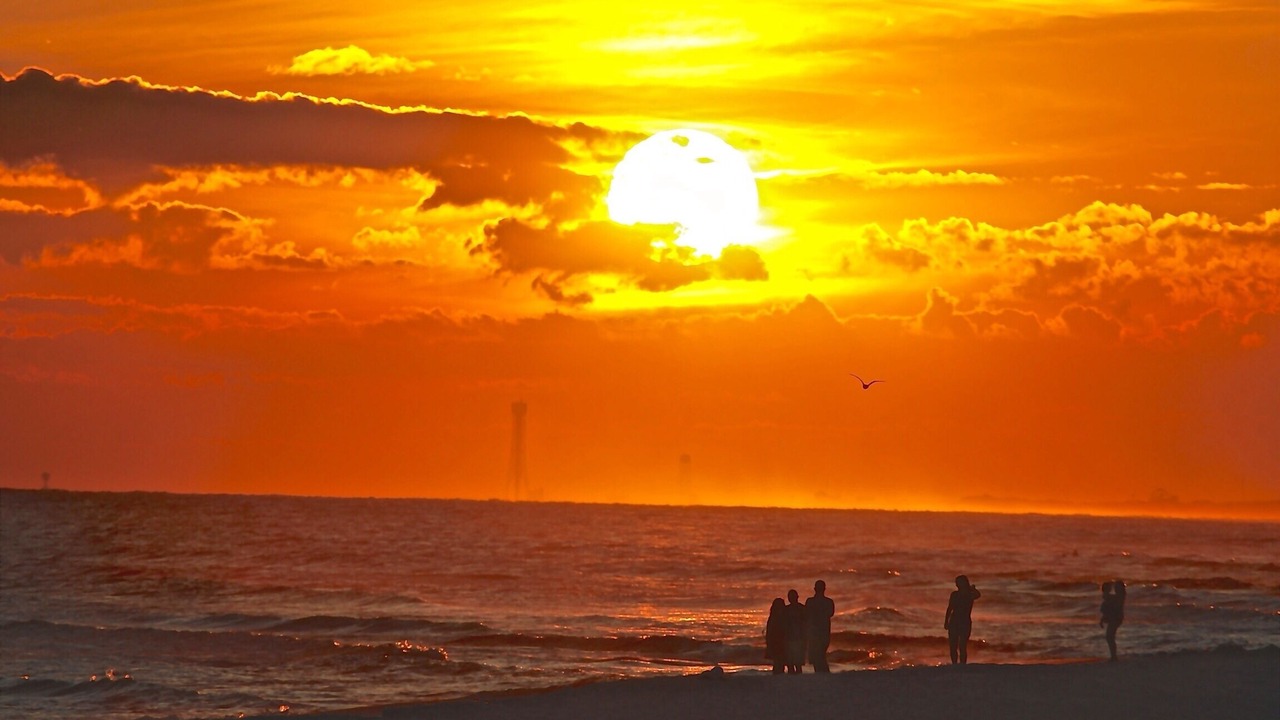 Photo of Others in Fort Walton Beach