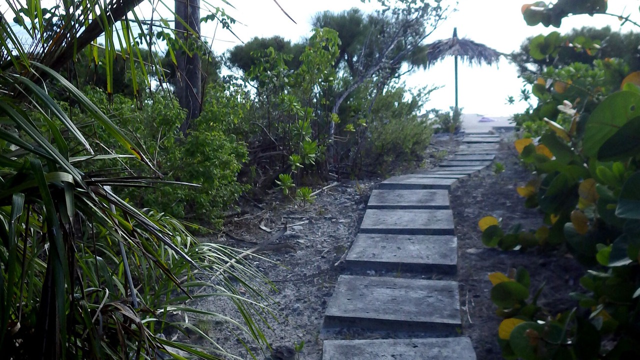 Photo of Others in South Palmetto Point