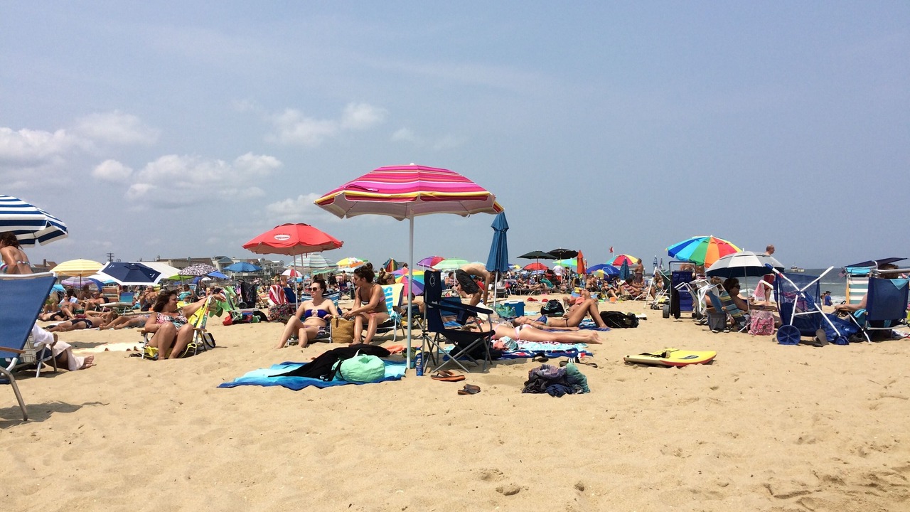Photo of Others in Belmar