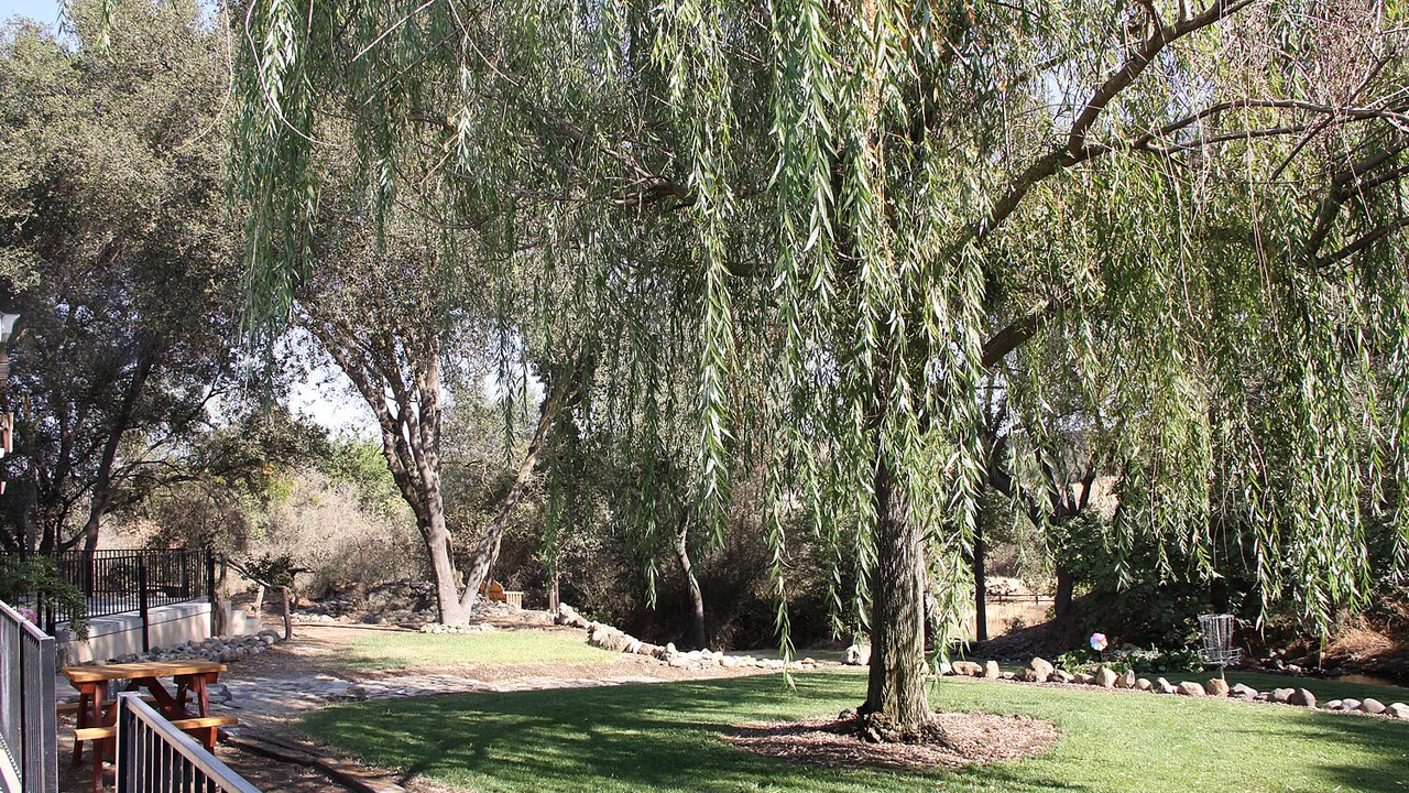Photo of Outdoor in La Grange