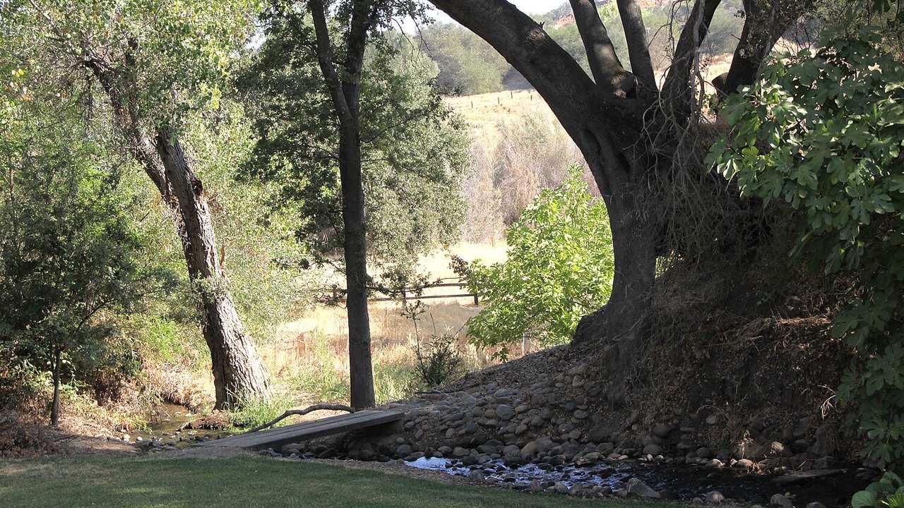 Photo of Outdoor in La Grange