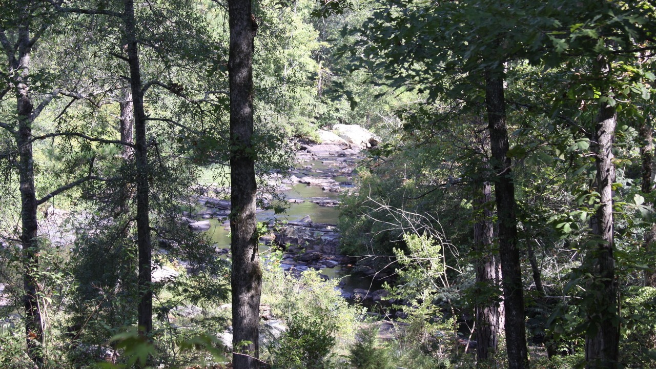 Photo of Outdoor in Pine Level