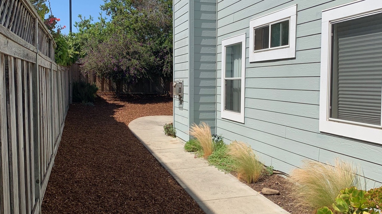 Photo of Outdoor in Westside Santa Cruz