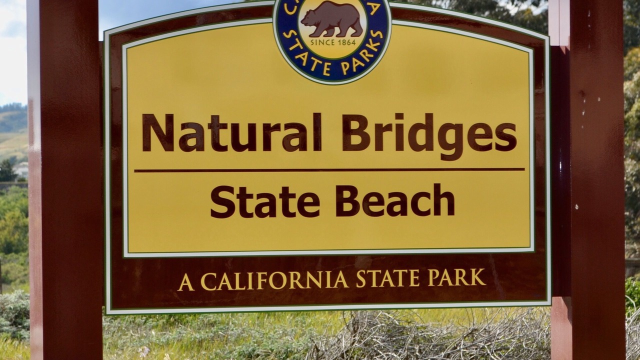 Photo of Others in Westside Santa Cruz