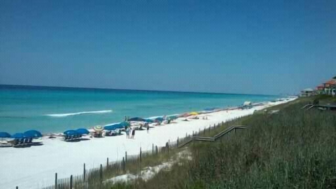 Photo of Others in Dune Allen Beach