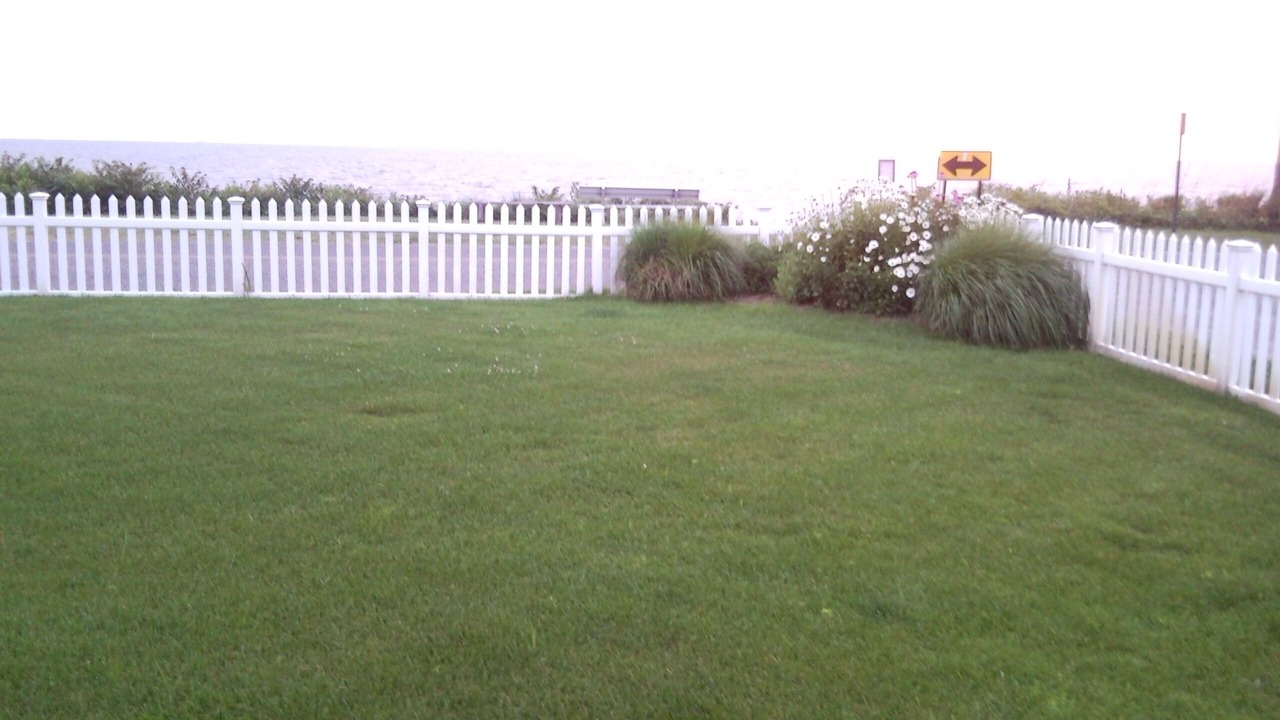 Photo of Others in North Cape May