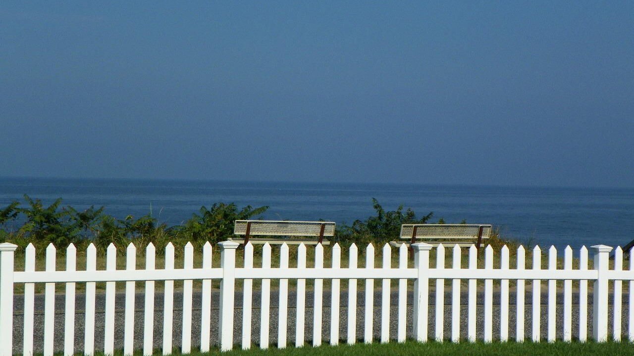 Photo of Others in North Cape May