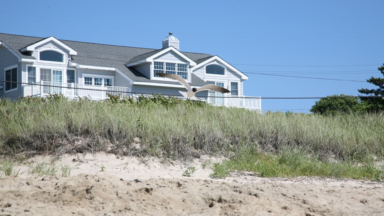 Photo of Others in North Cape May