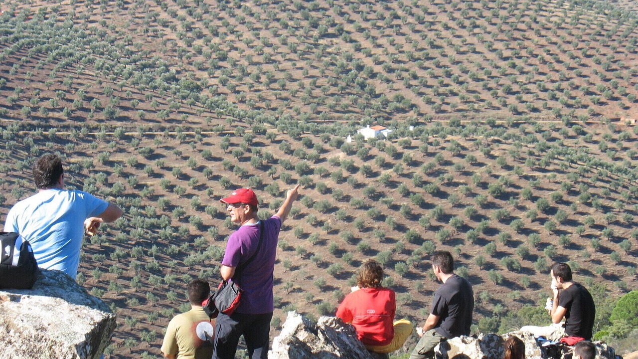 Photo of Others in Pozoblanco