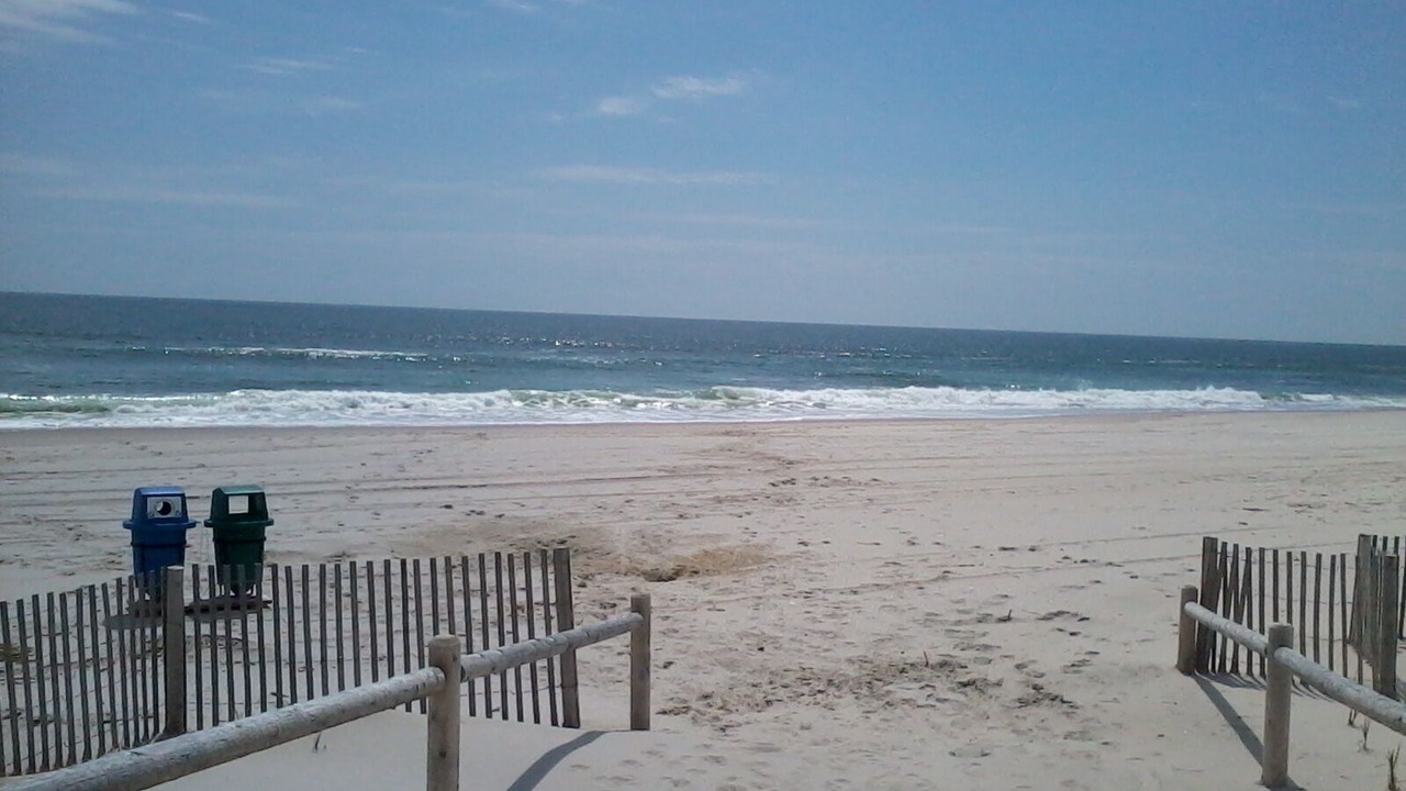 Photo of Others in Harvey Cedars