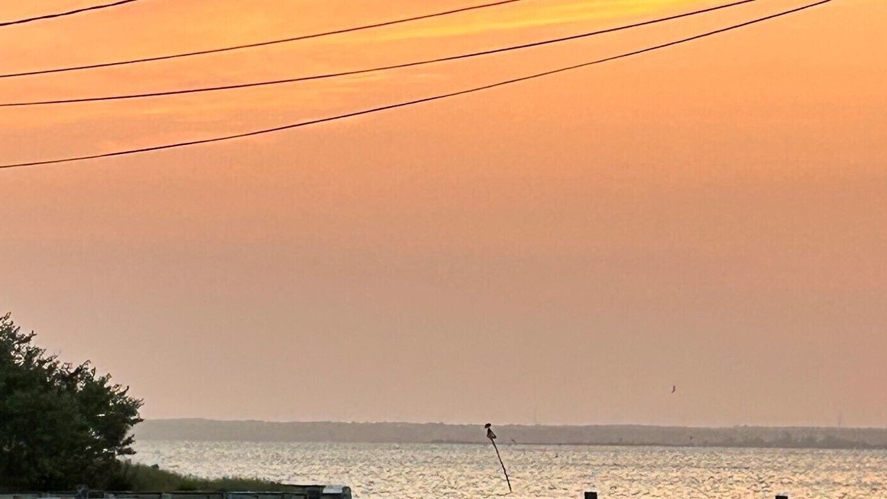 Photo of Others in Harvey Cedars