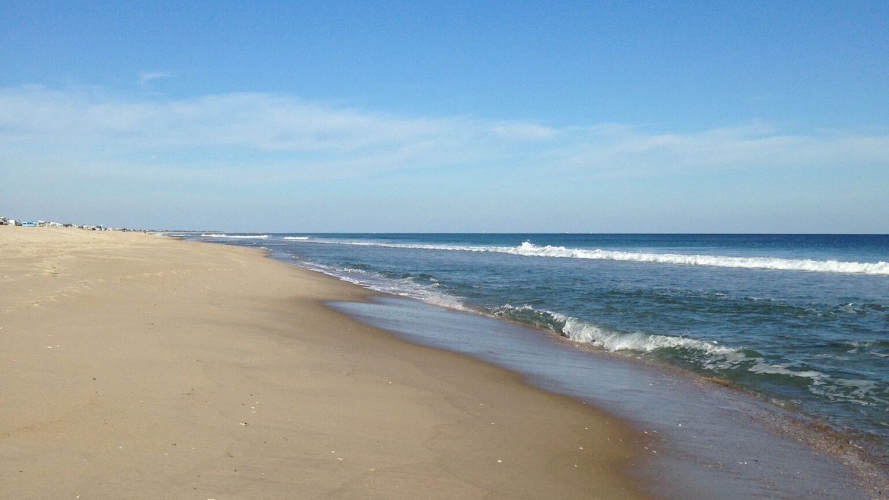 Photo of Others in Harvey Cedars