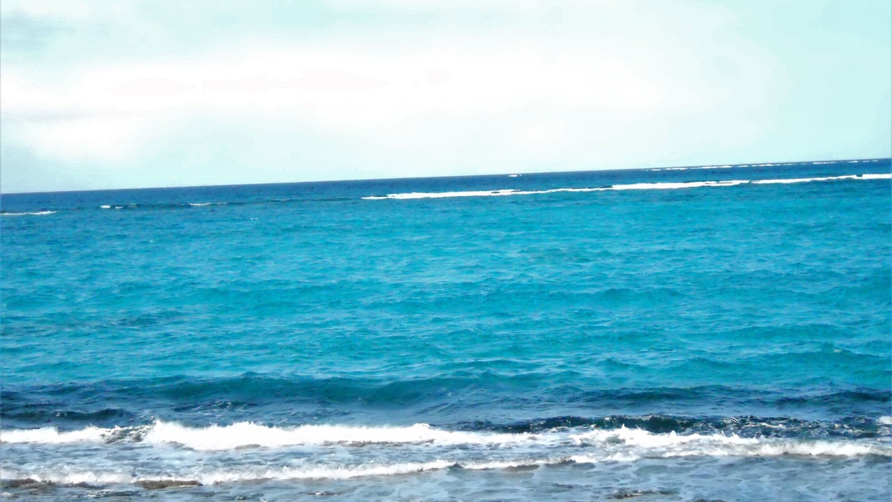 Photo of Others in Green Turtle Estates