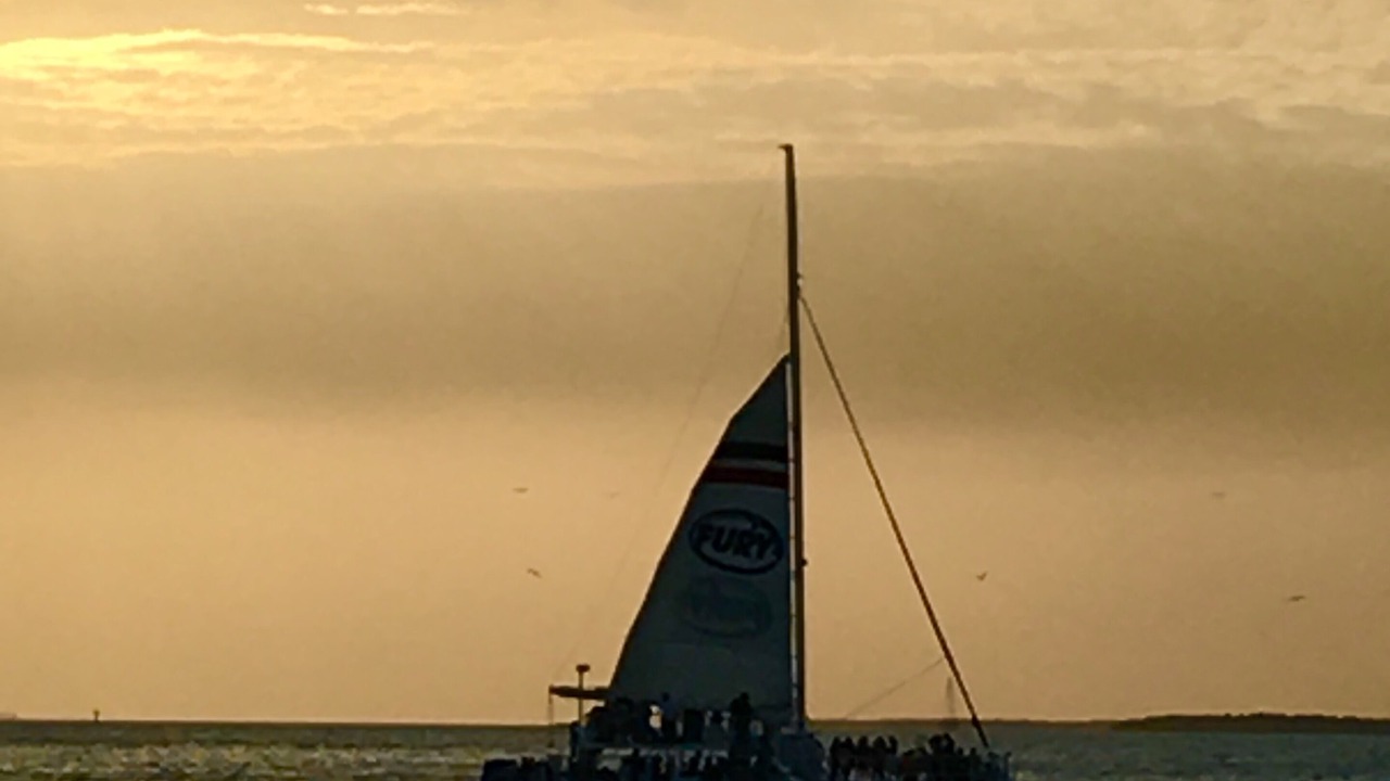 Photo of Others in Cape Breezes