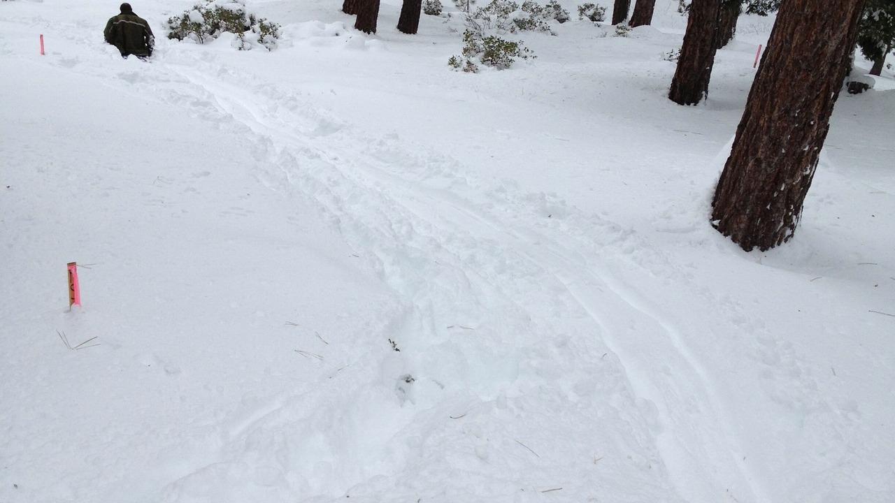 Photo of Outdoor in Incline Village