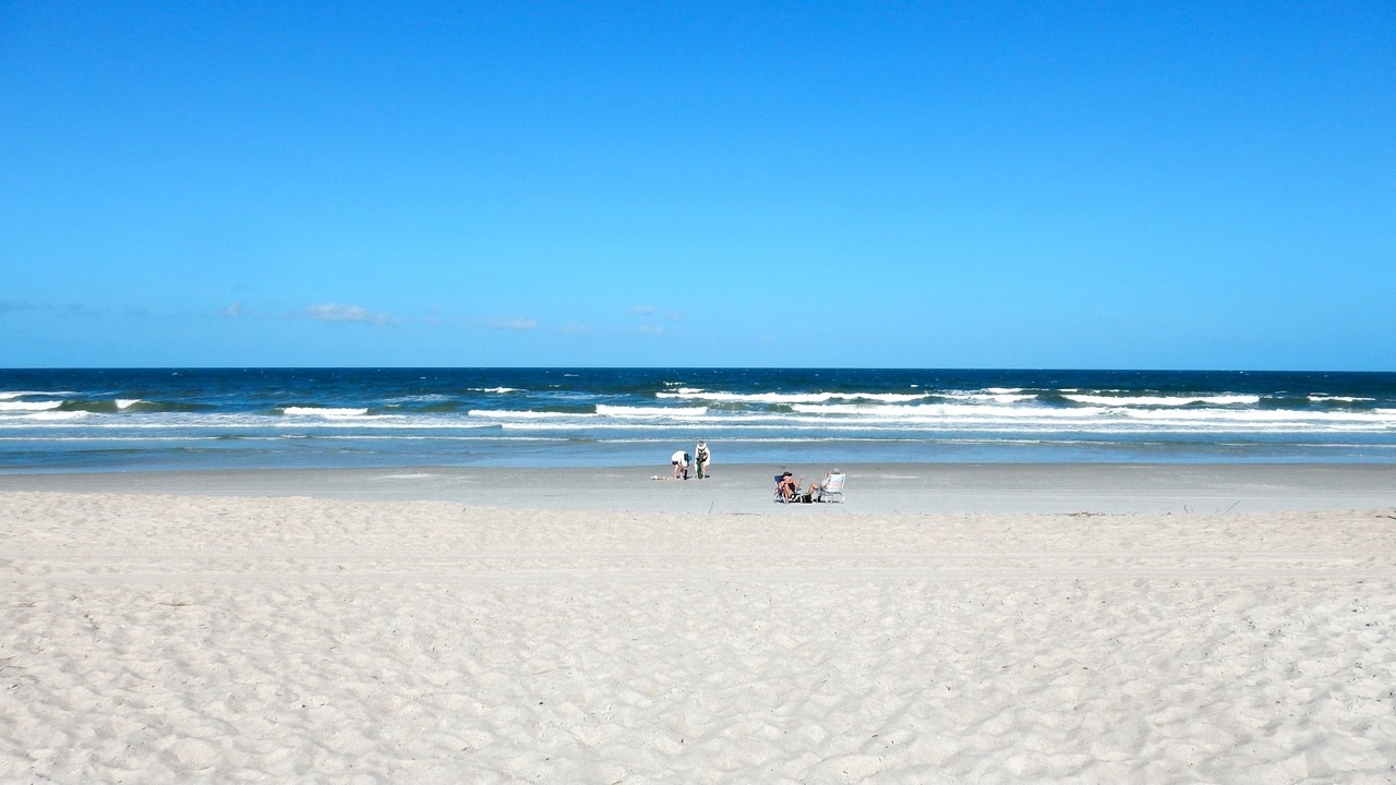 Photo of Others in Amelia City