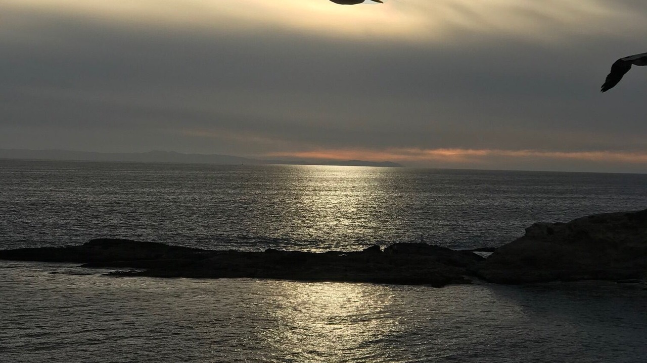 Photo of Others in Newport Coast