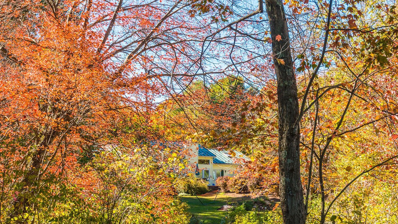 Photo of Outdoor in Town of Copake