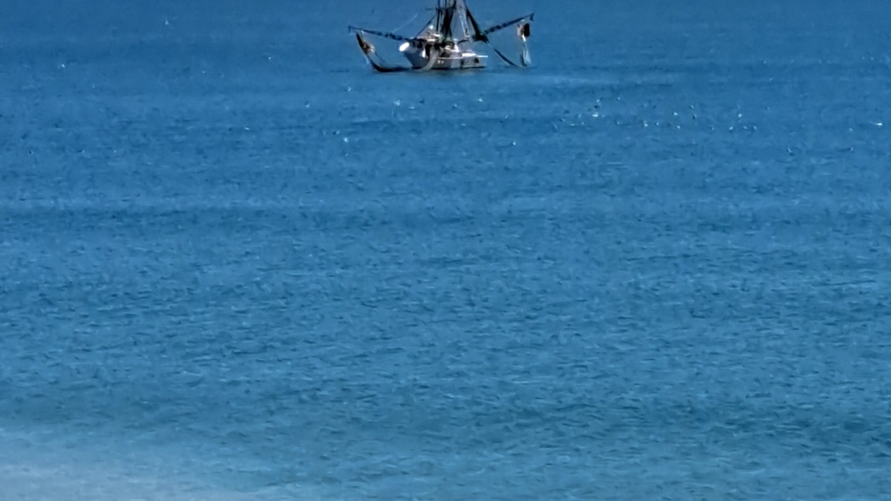 Photo of Others in Sneads Ferry