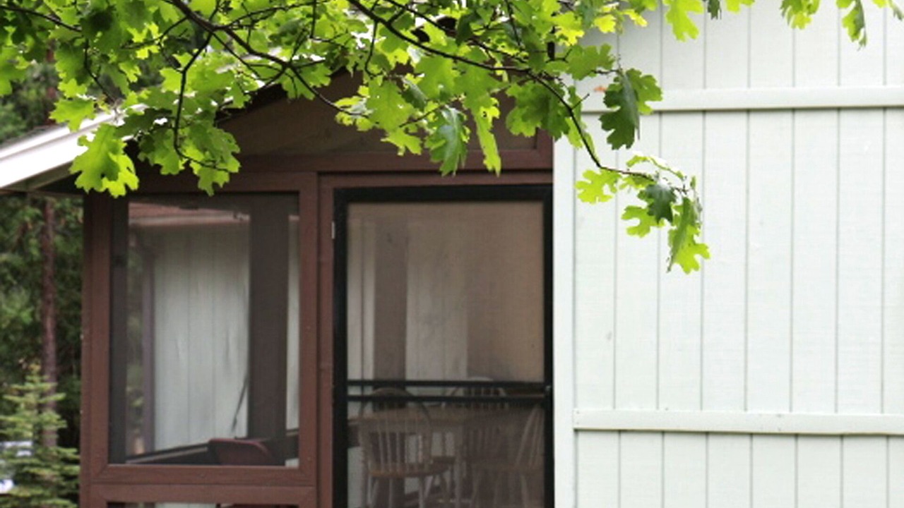 Photo of Outdoor in Foresta