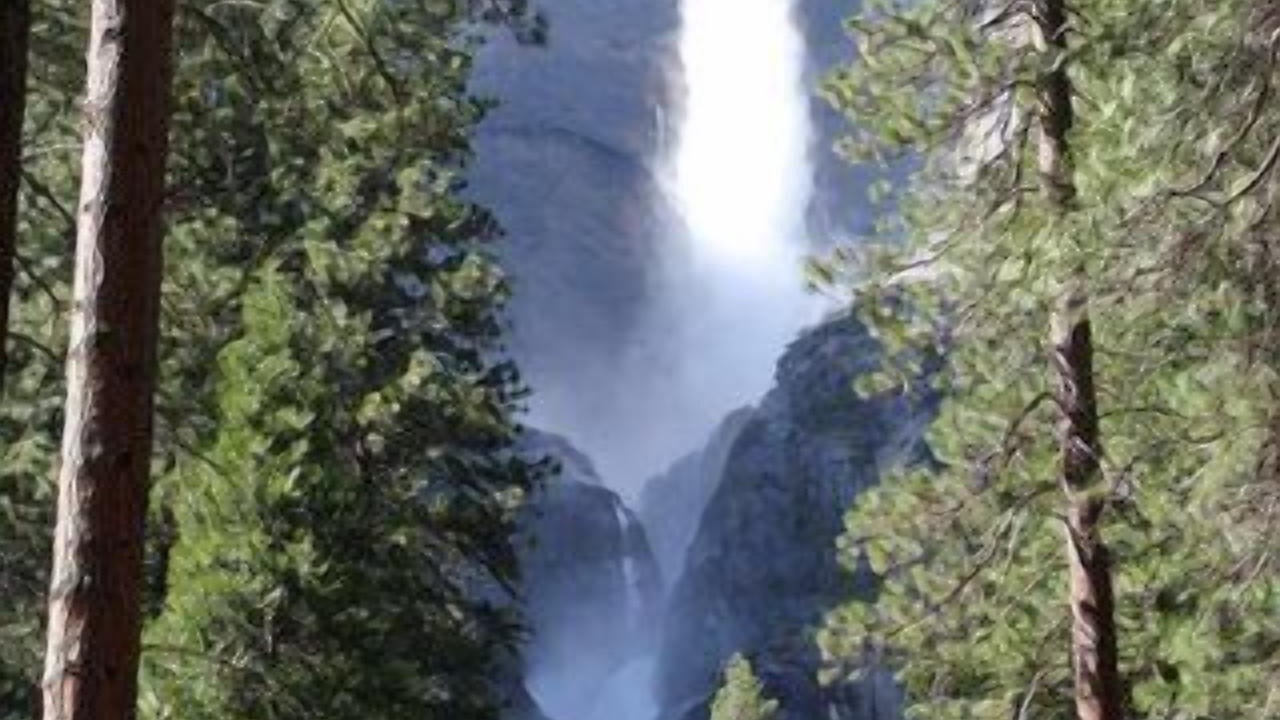 Photo of Others in North Wawona