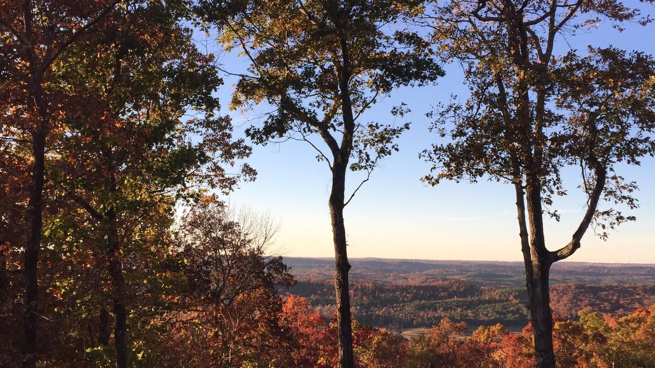 Photo of Outdoor in Mentone