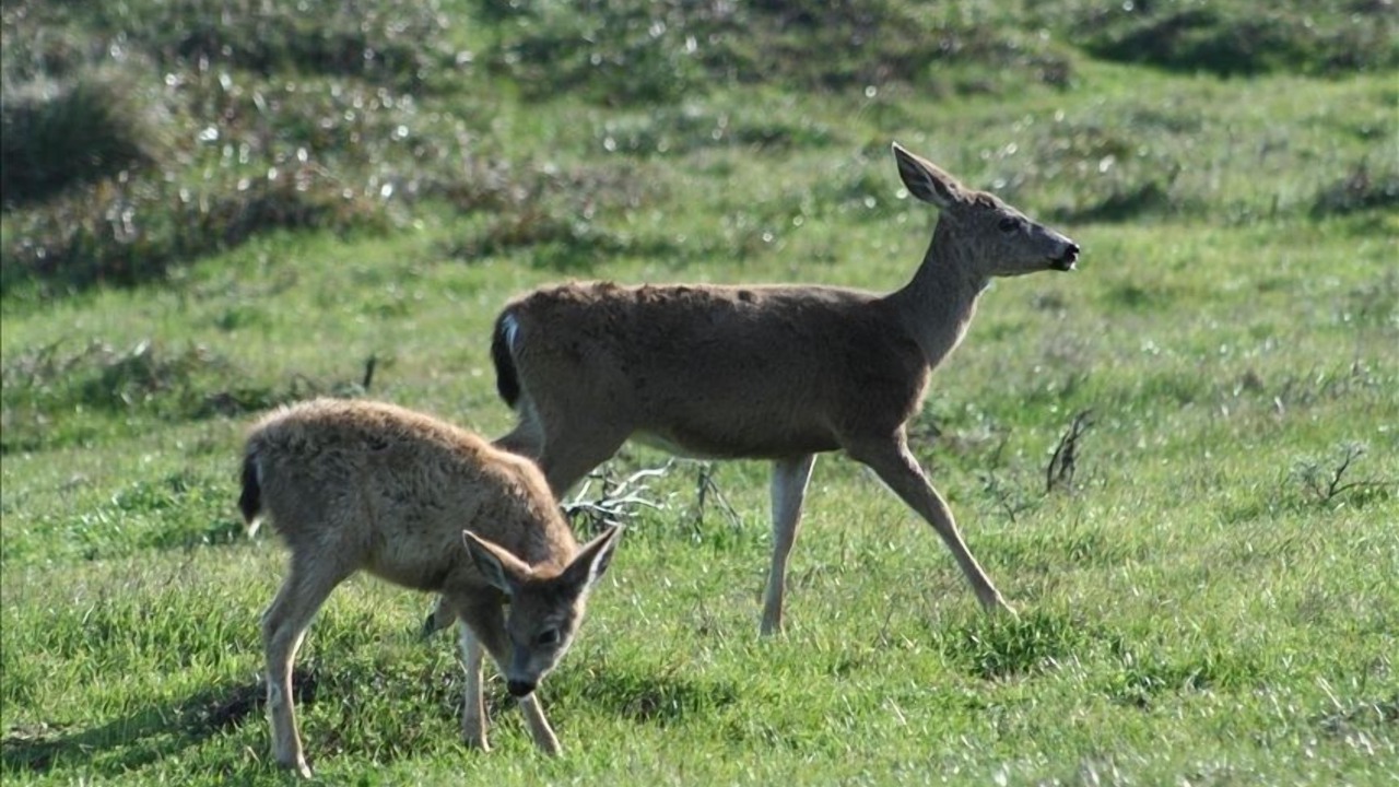 Photo of Others in Inverness