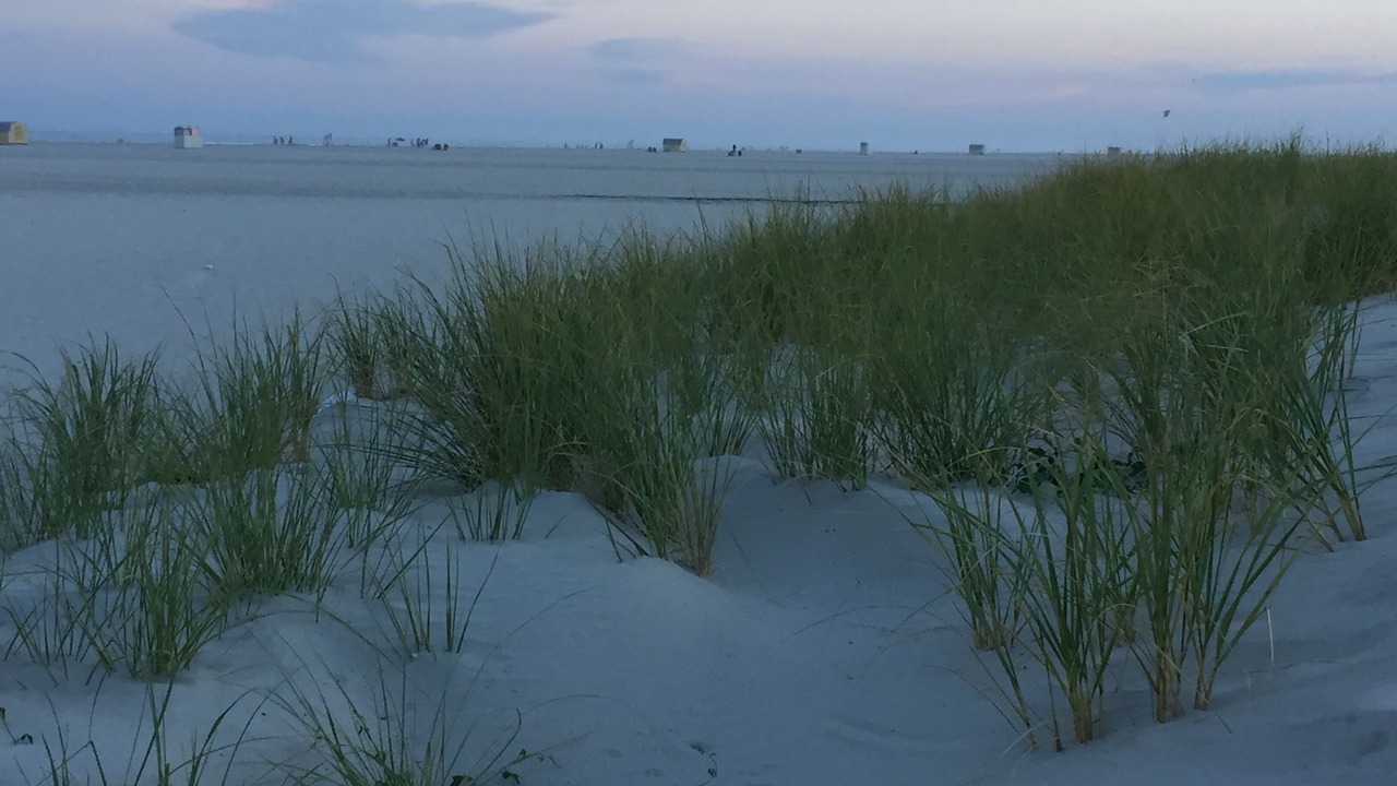 Photo of Others in Wildwood Crest