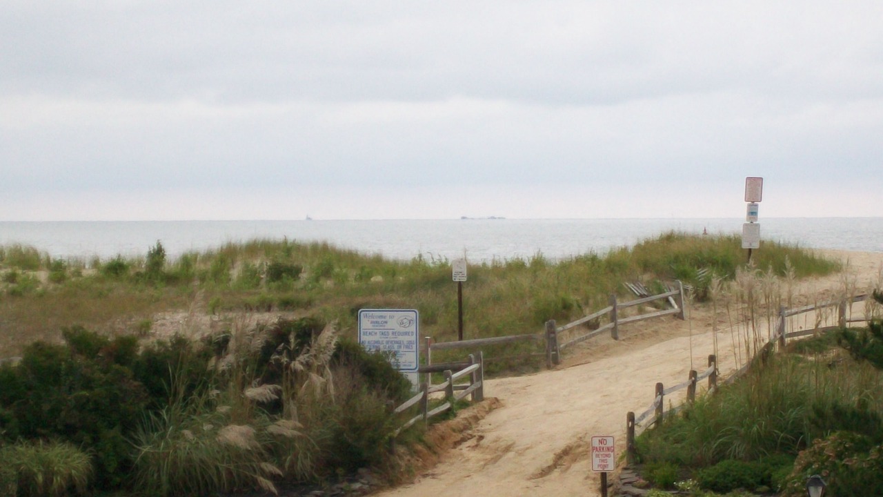 Photo of Others in Avalon