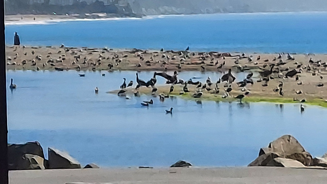 Photo of Others in San Juan Capistrano