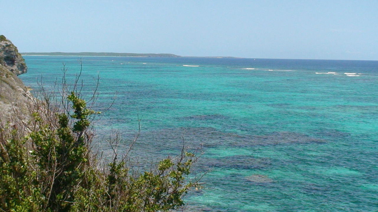 Photo of Others in Port Howe