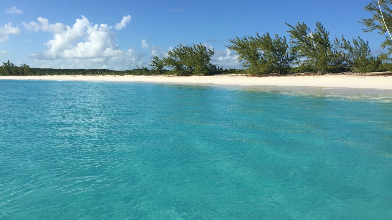 Photo of Others in Port Howe