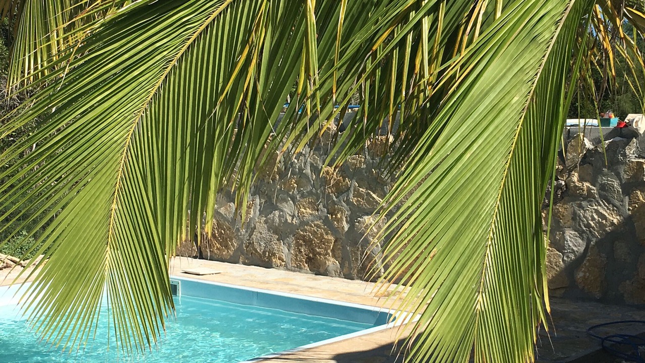 Photo of Outdoor in Port Howe