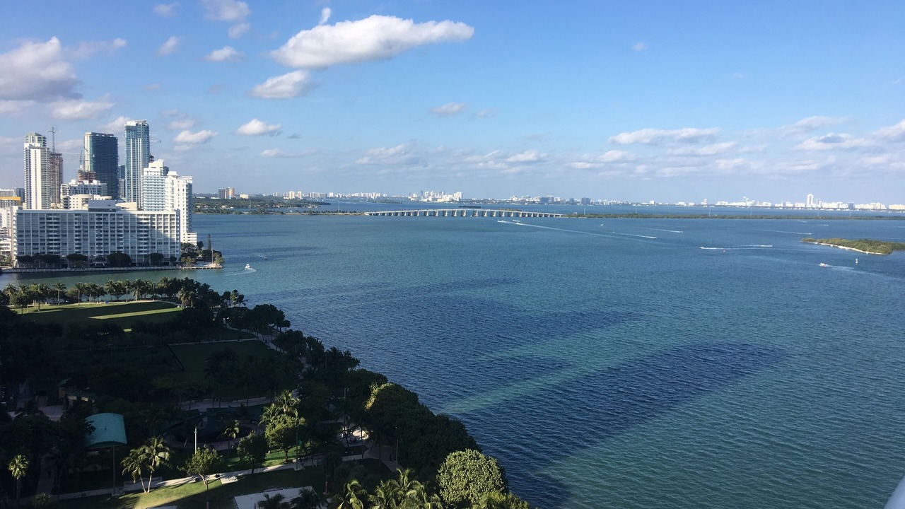 Photo of Others in Downtown Miami